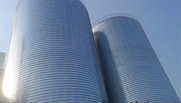 石河子2座混凝土高架卷板仓